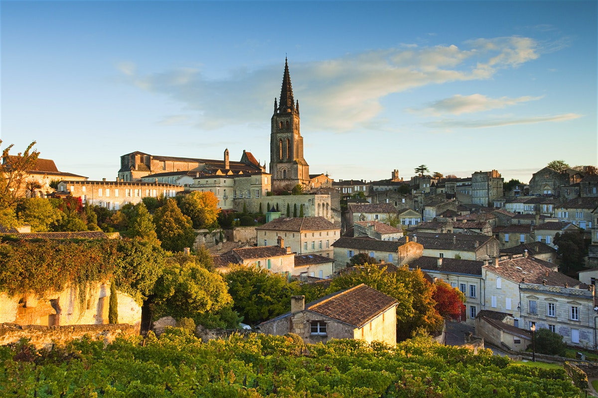 France’s Wine Regions: From Bordeaux to Burgundy — A Journey Through the World’s Finest Vineyards