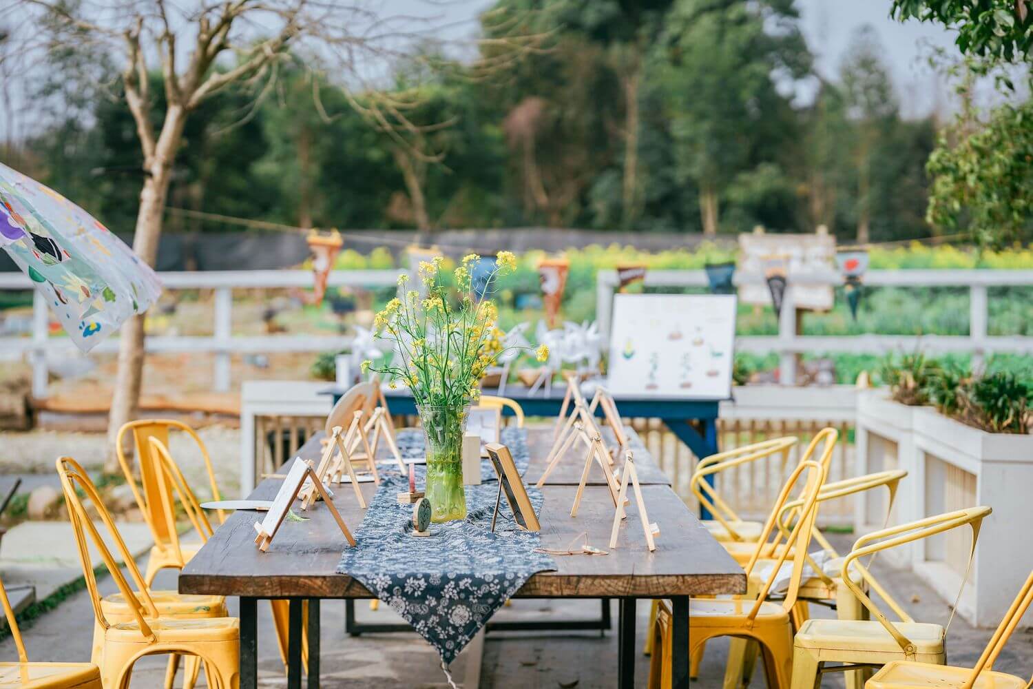 The Rise of Farm-to-Table Dining Experiences: A Global Culinary Revolution