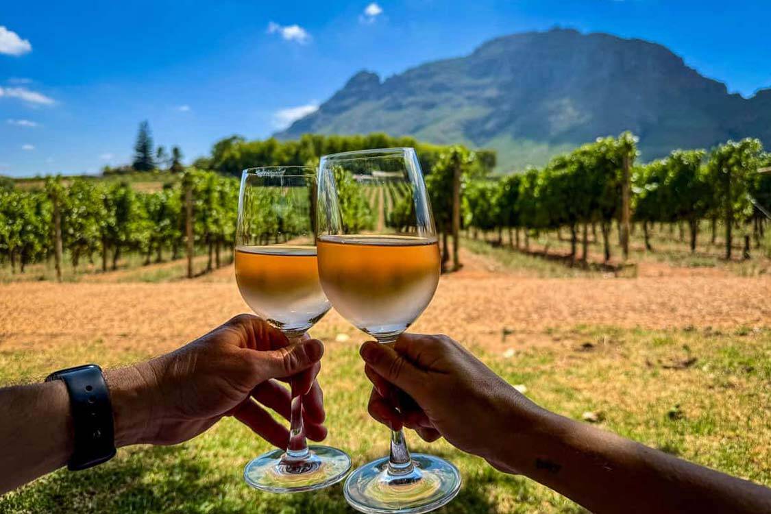 The Wine Routes of California: From Napa to Sonoma – A Traveler’s Guide to America’s Most Iconic Vineyards