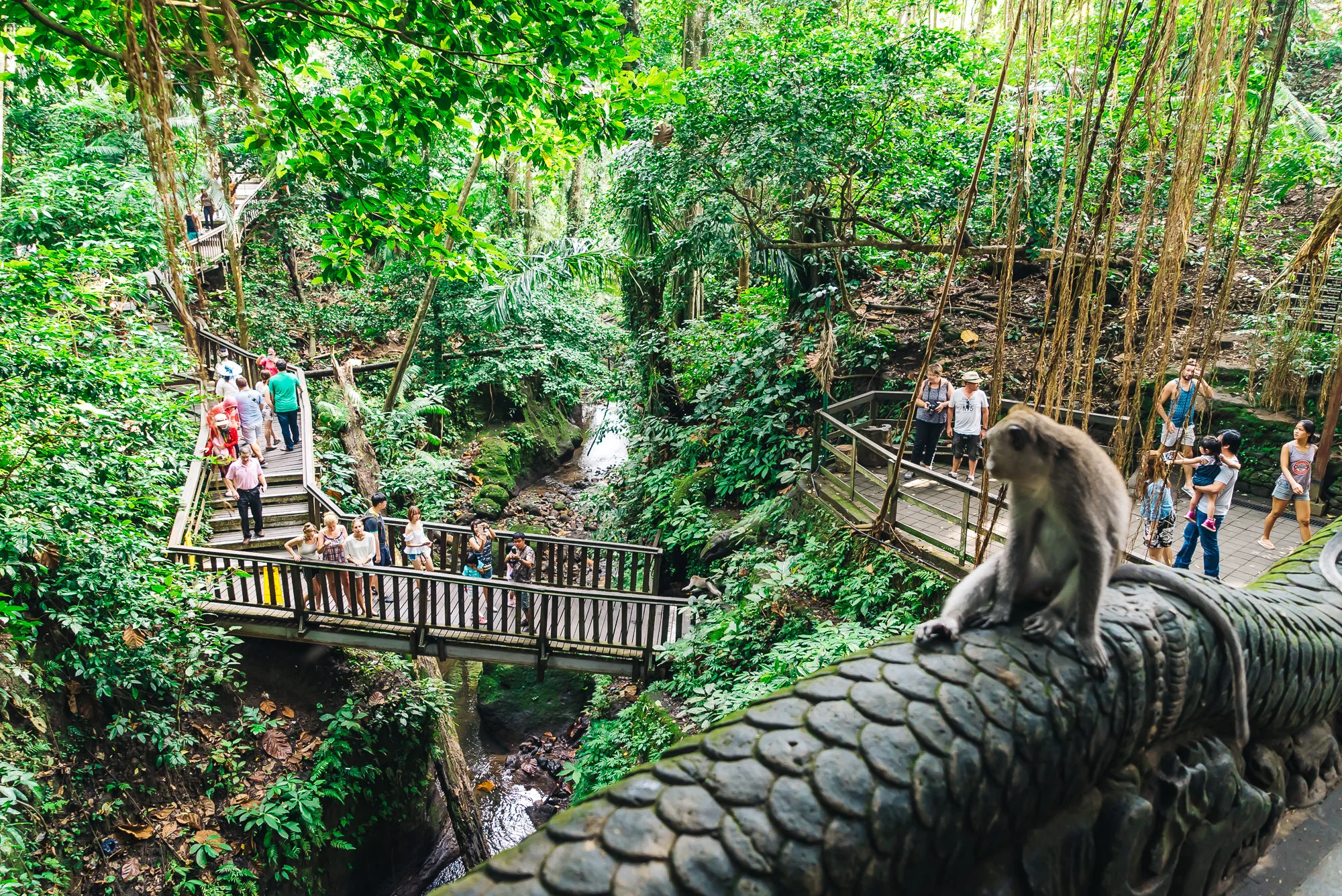 Discover Bali in 2025 – Visit Ubud’s Sacred Monkey Forest | Book Flights, Hotels & Tours on Anuju