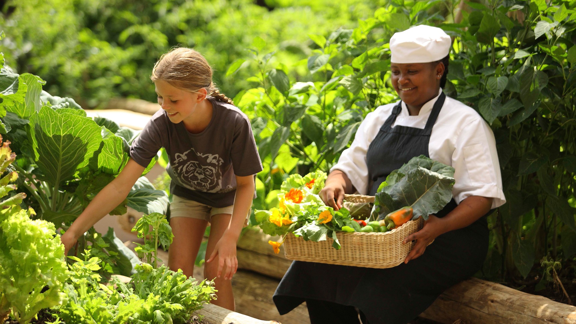 The Rise of Farm-to-Table Dining Experiences: How Travelers Are Rediscovering Authentic Food Culture