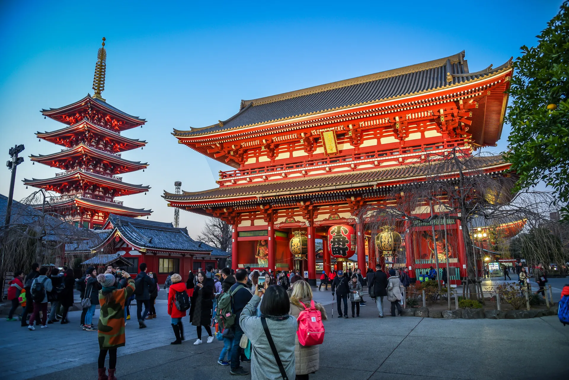 Seoul to Tokyo: Fly into Japan’s Magic with Anuju