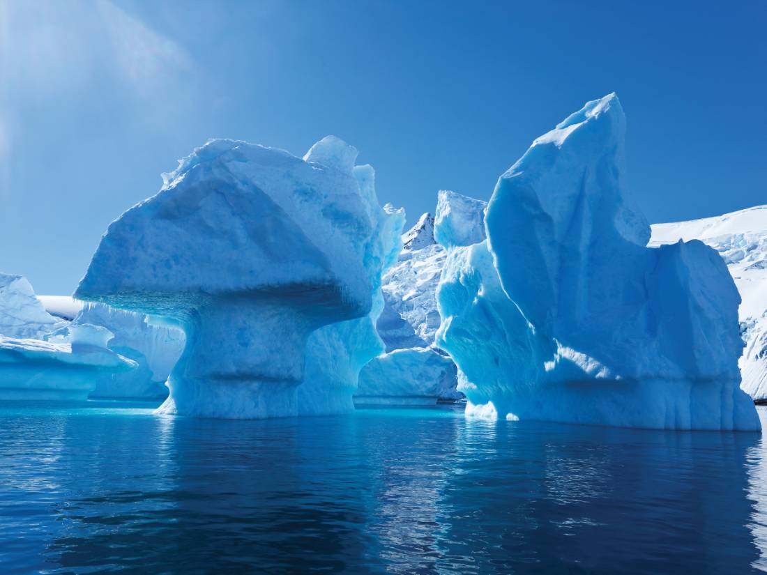 Arctic vs Antarctic: Choosing the Perfect Ice Expedition for the Ultimate Polar Adventure