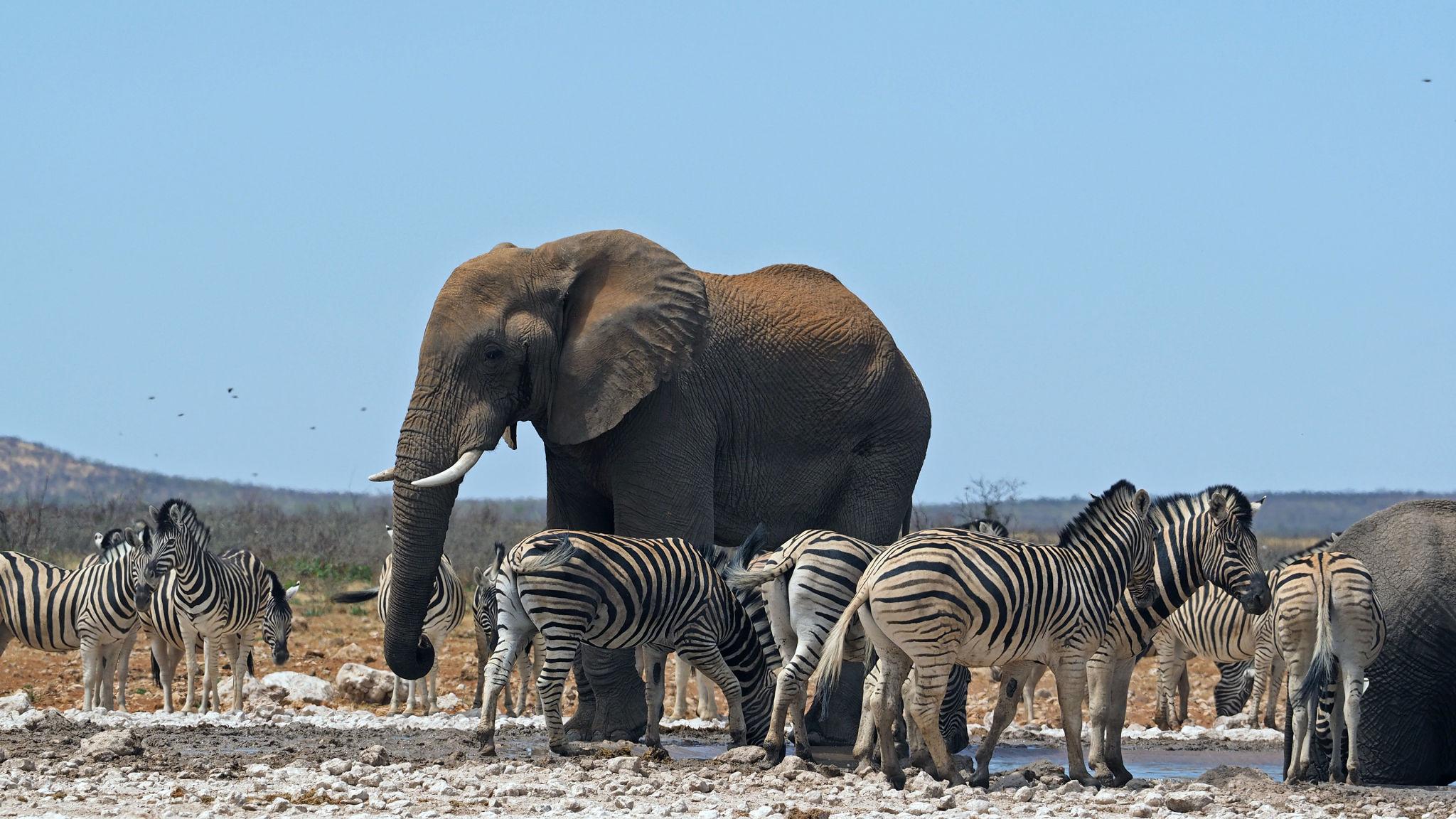 Underrated African Destinations That Deserve Global Attention