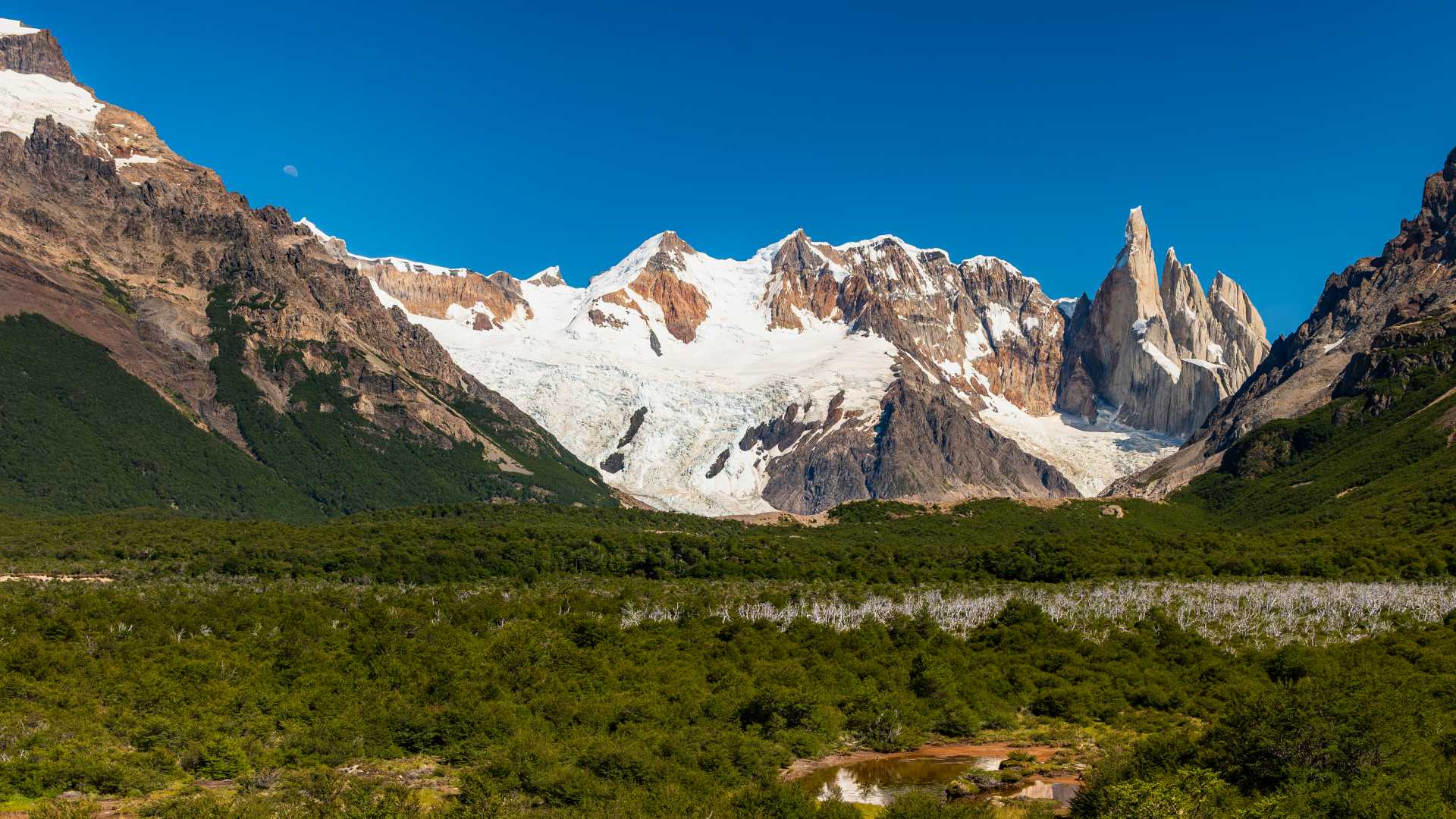 Patagonia: The Edge of the World Where Nature Still Rules – A Journey Into Earth’s Last Great Wilderness